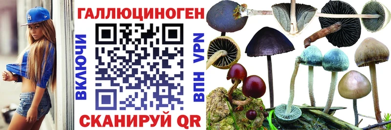 Псилоцибиновые грибы Psilocybe Купить где Балашов